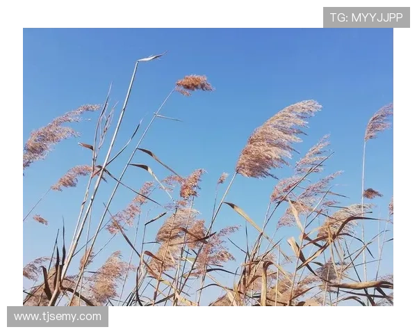 远雷：敲响心扉的古老回响，唤醒沉睡的万物生灵