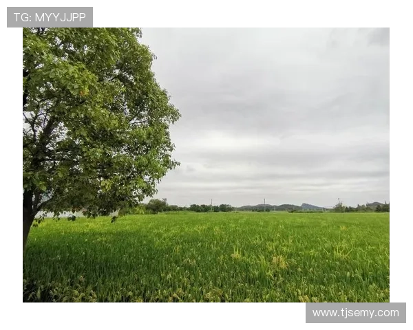 《老爸的传说:一次关于“如何遇见你的妈妈”的深情回溯》 《老爸的传说:一次关于“如何遇见你的妈妈”的深情回溯》