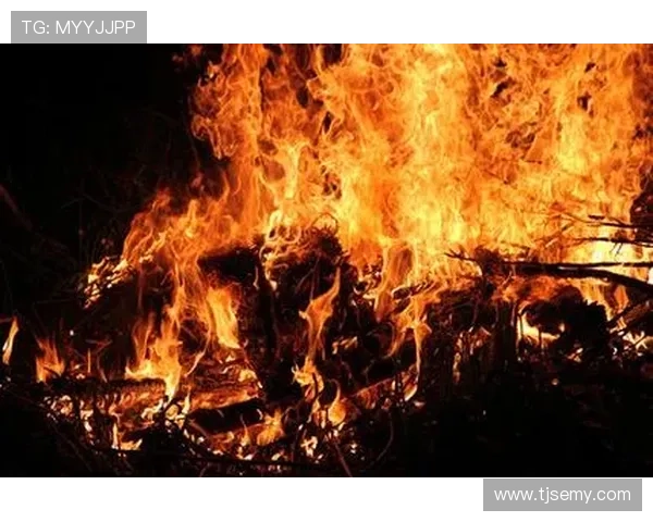 掠夺狂爱：当占有欲燃烧成烈火